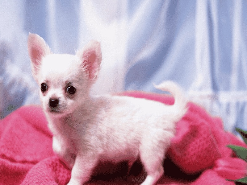 一代试管转二代试管好吗，山大试管长期方案