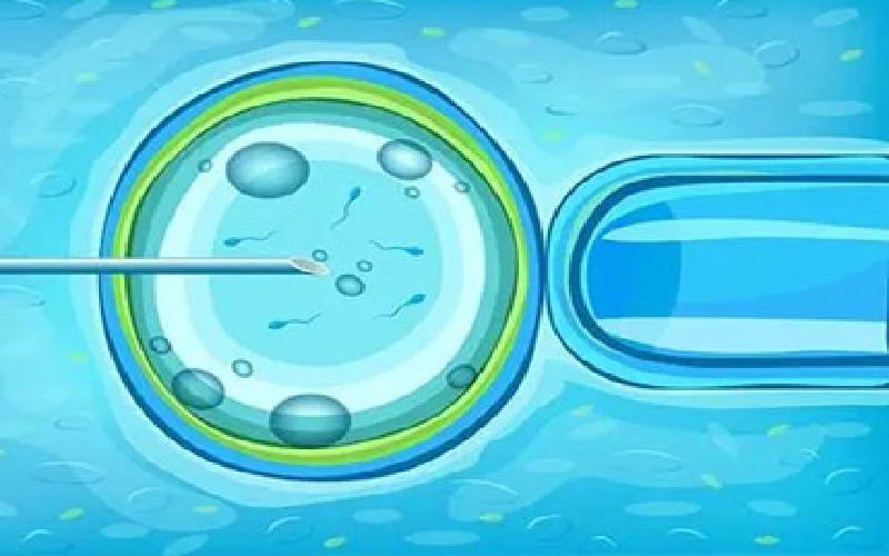 要做试管婆婆生病代生